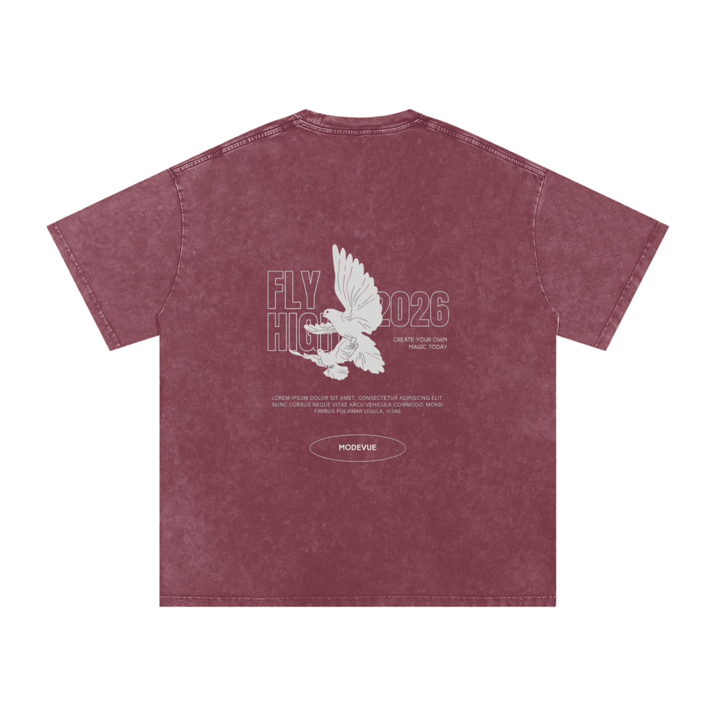 Snow Washed Oversized Cotton T-Shirt